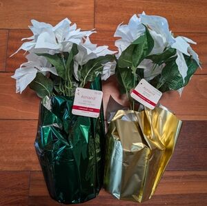 Holiday White Poinsettia Pot by Ashland